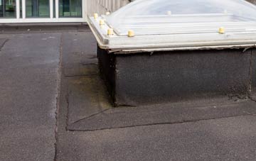 disadvantages of Steventon flat roofs
