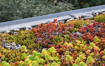 the cost of Steventon green roof installation