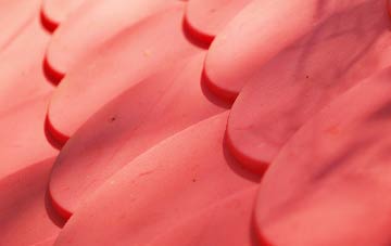 Steventon plastic roof costs