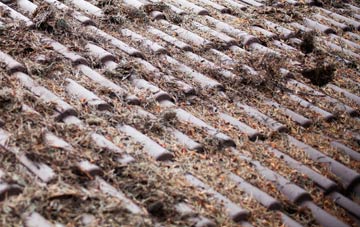 Steventon roof cleaning companies